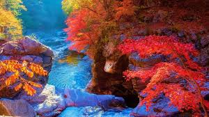 오색약수 설악산 단풍