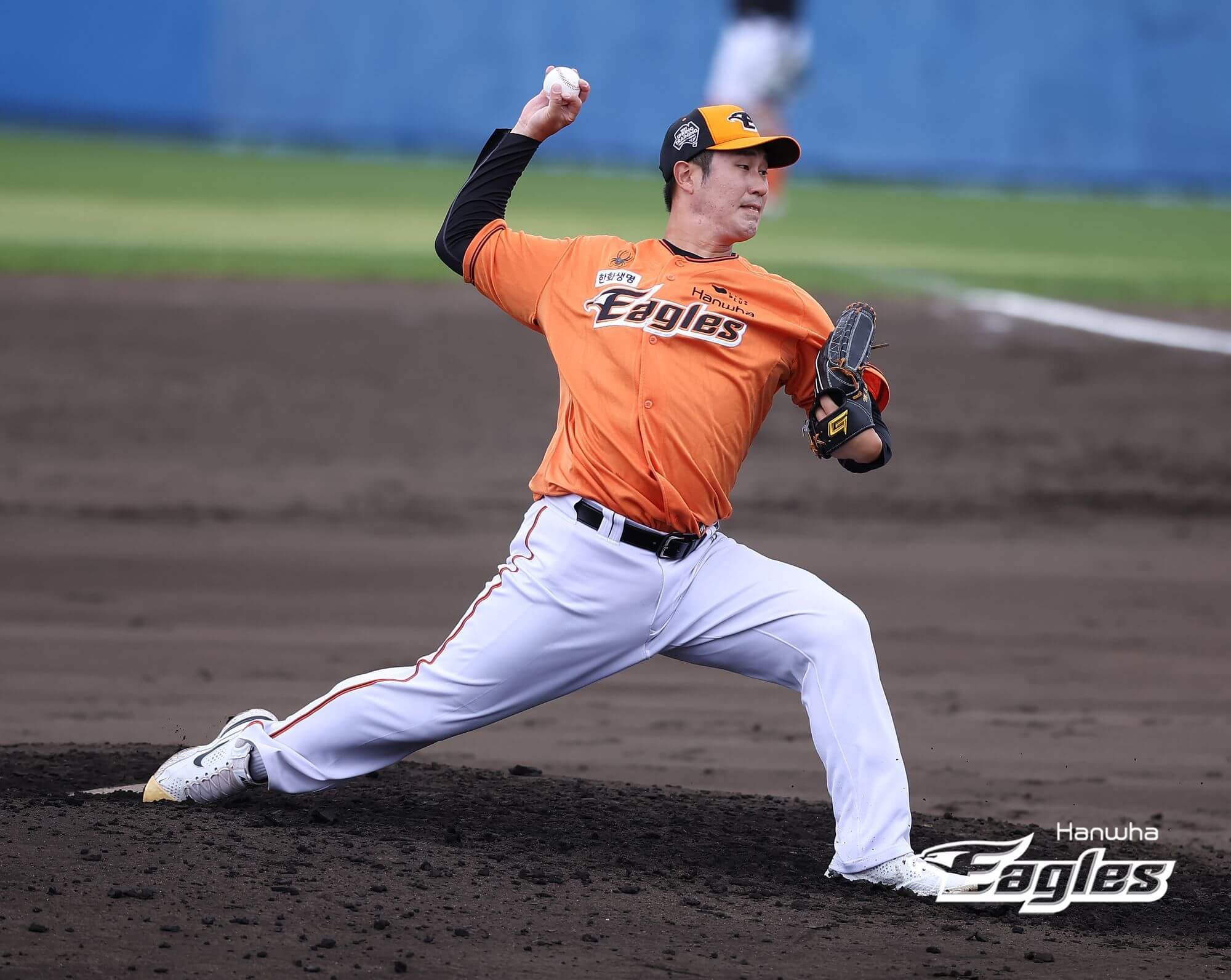 2024 한화 이글스 티켓 할인 예매, 무료 주차, 좌석 종류 및 특징, 경기일정 및 결과