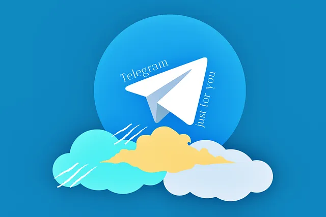 텔레그램&amp;#44; 딥페이크 [겹지방&amp;#44; 겹지인] 문제와 피해 대응 방법&amp;#44; 피해 학교 명단지도