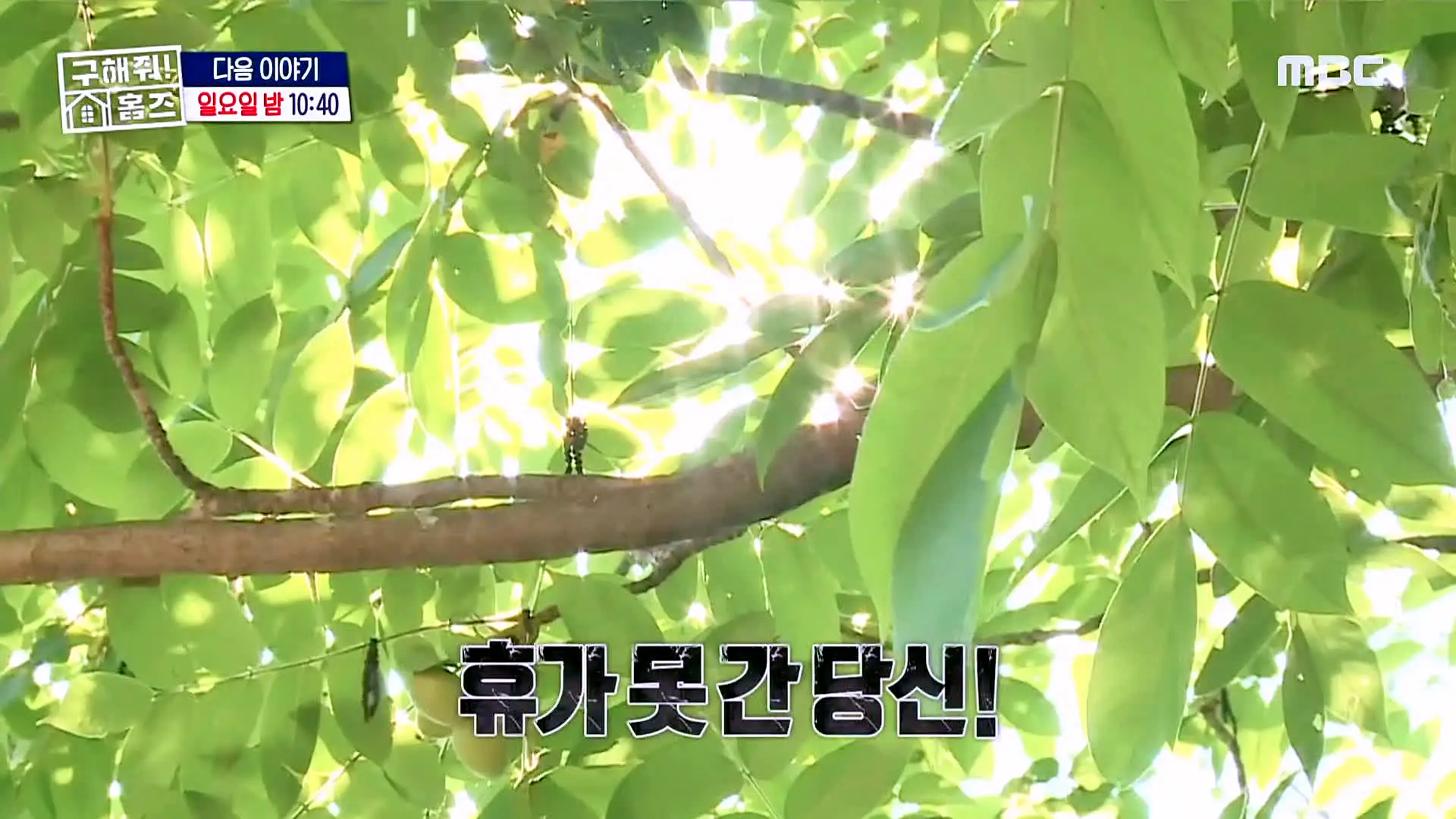 구해줘홈즈 파도파도 홈서핑 홈캉스 한강뷰 1열 아파트 나인방캉스 하우스 감성캠핑하우스 욕조비앤비 수지 플렉스 주택 인테리어 리모델링 소개