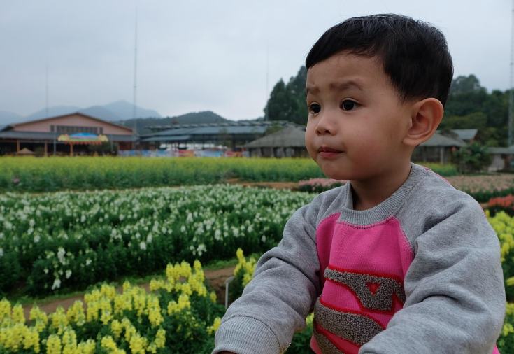 2025 함평 나비대축제