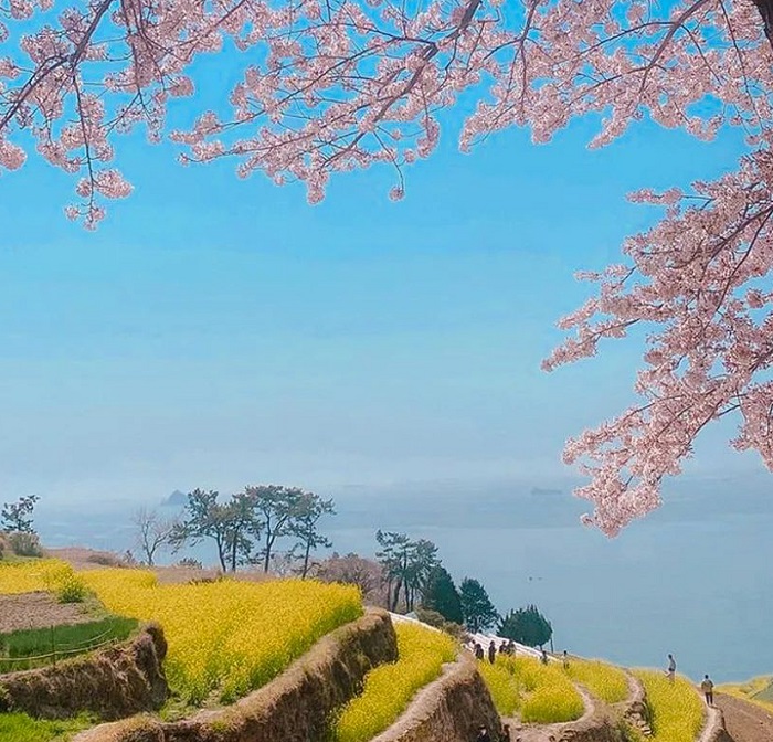 4월-여행지-추천