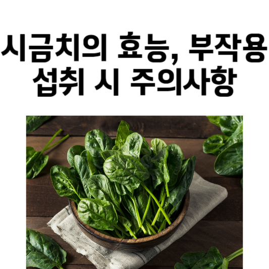 시금치의 효능과 부작용, 주의사항