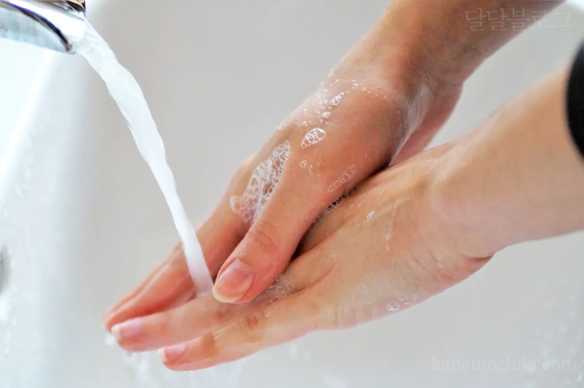 손씻기