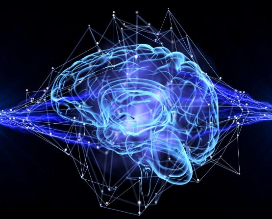 기억력에 관한 자주 묻는 질문 FAQ