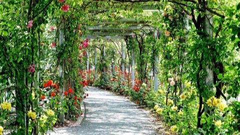 2024년 조경기능사 시험일정 월급