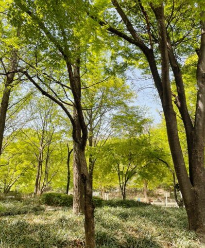 2024 별헤는 서울숲 축제 일정