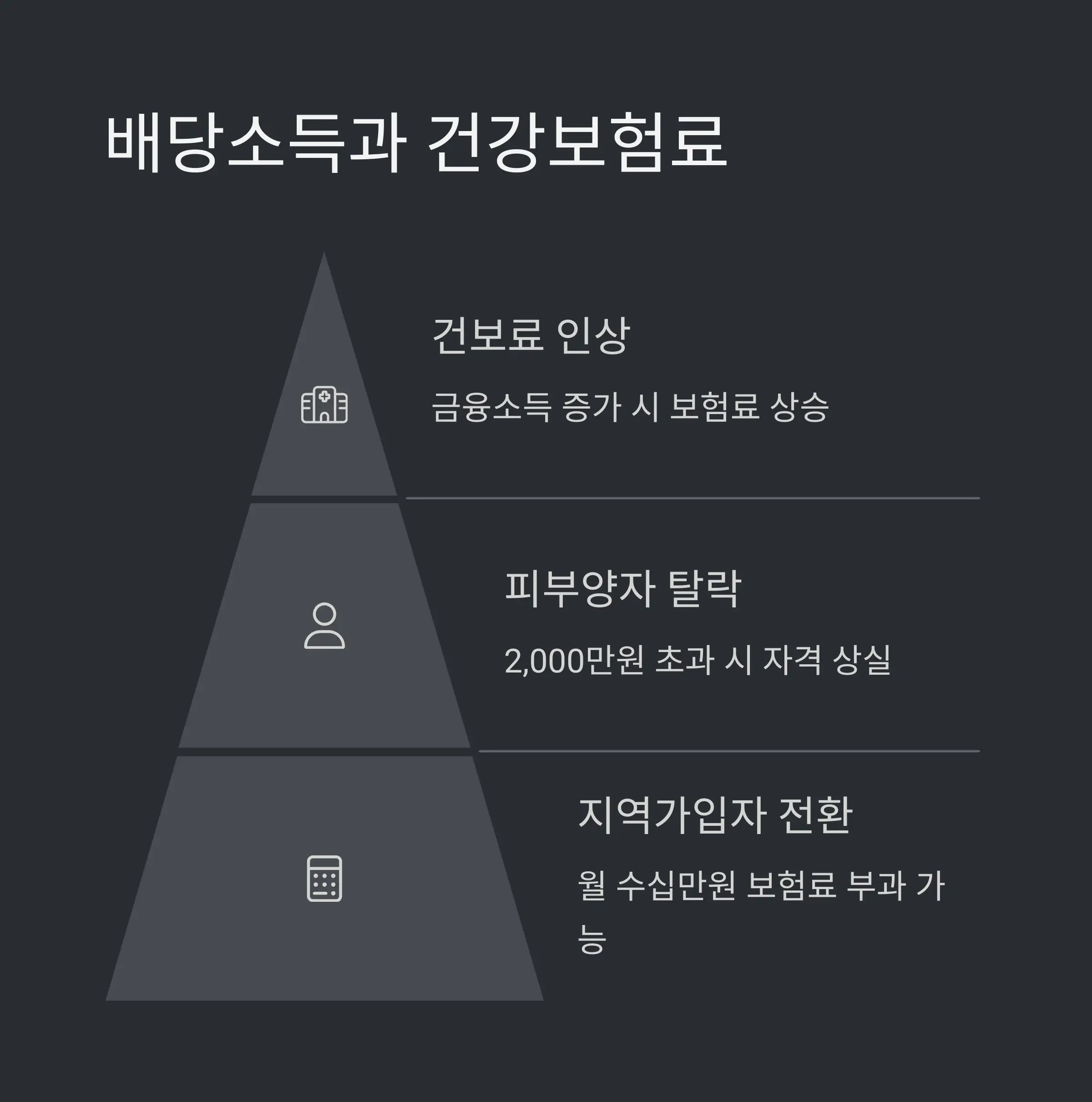 피부양자 자격 상실 기준 👥