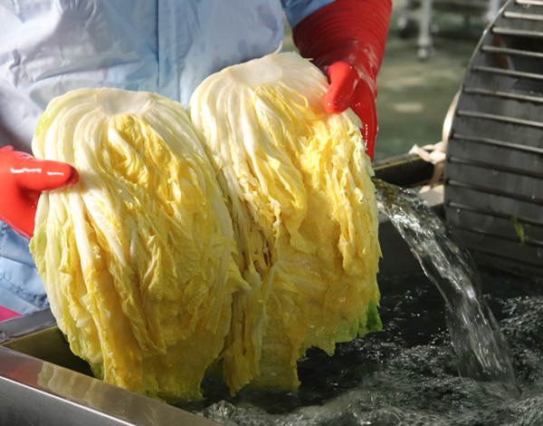 새벽 장터 절임 배추