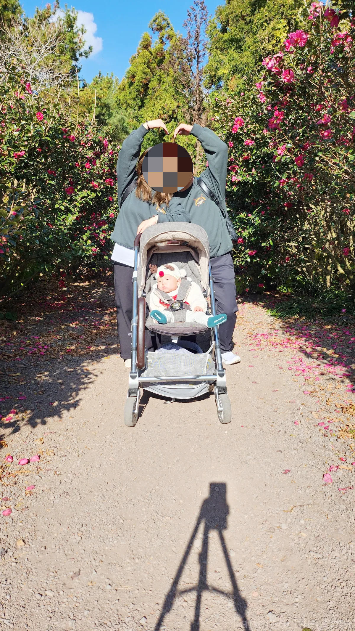 겨울여행-제주도여행-동백