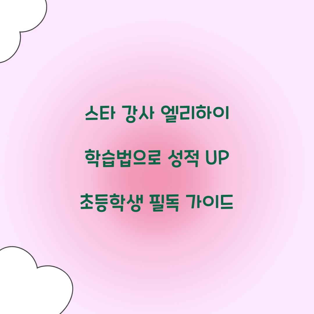 스타 강사 엘리하이 학습법