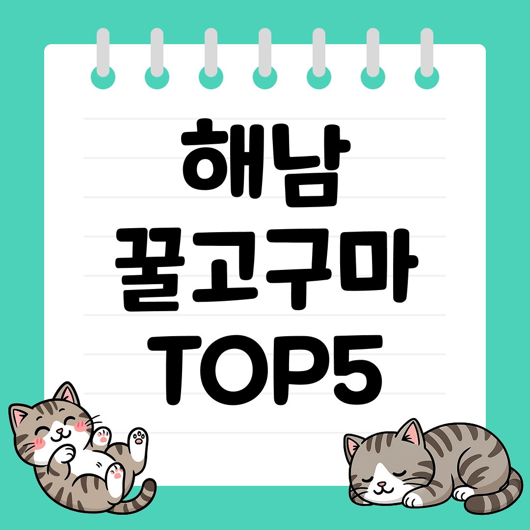 가을, 겨울철 최고의 간식, 해남 꿀고구마 TOP5