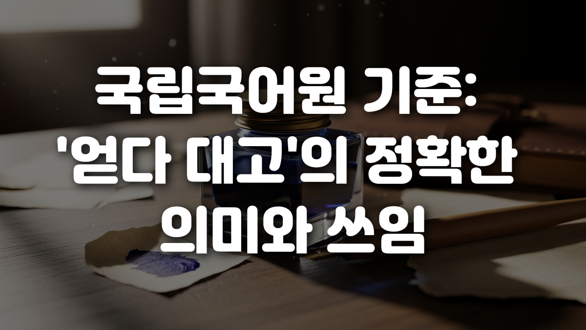 국립국어원 기준 얻다 대고 의 정확한 의미와 쓰임