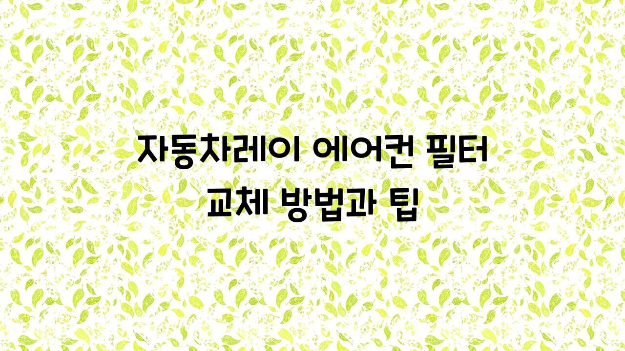 자동차레이