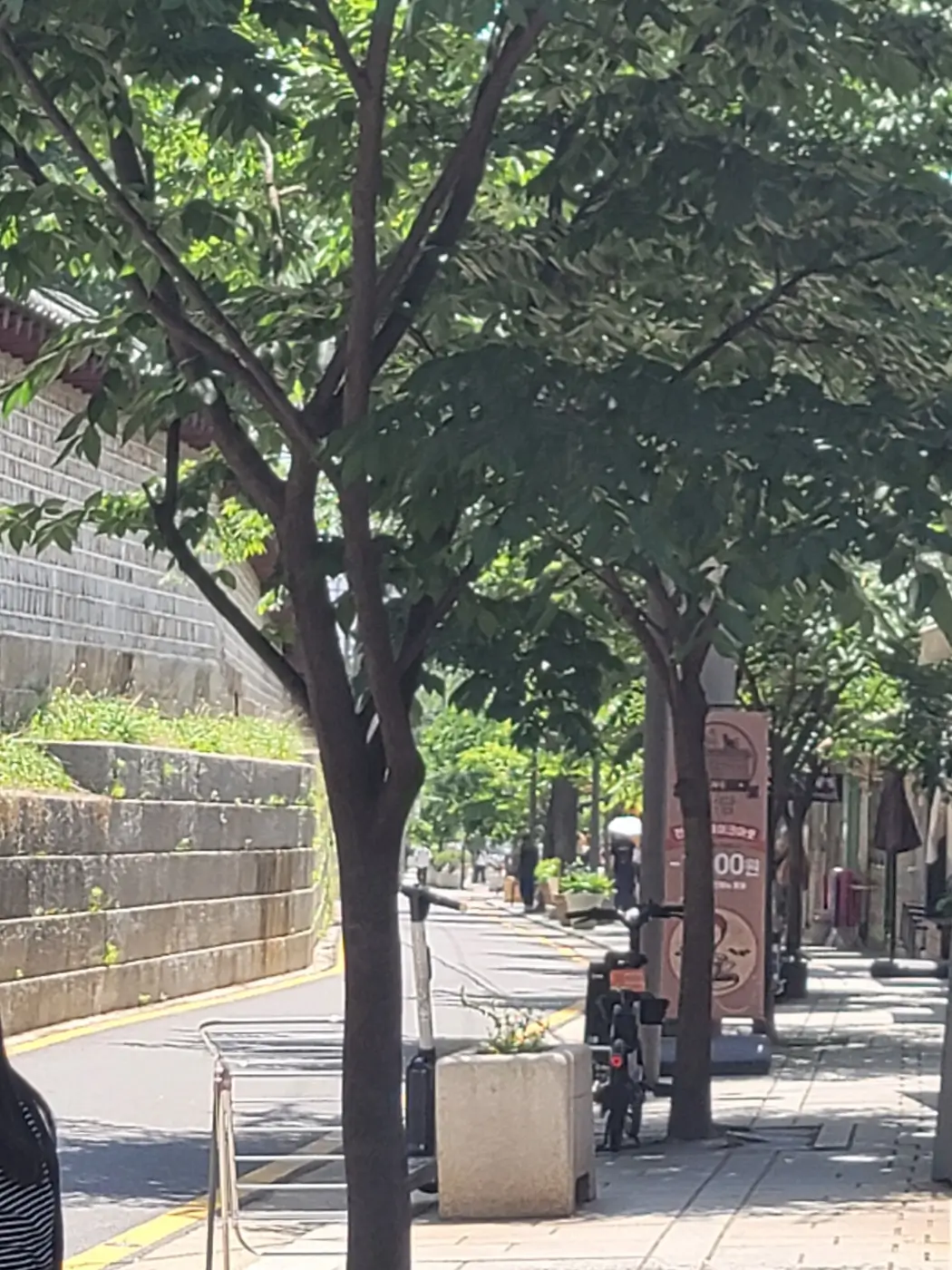 서순라길 시작 지점