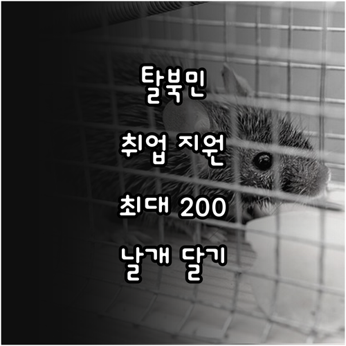 2025 북한이탈주민을 위한 취업 날..