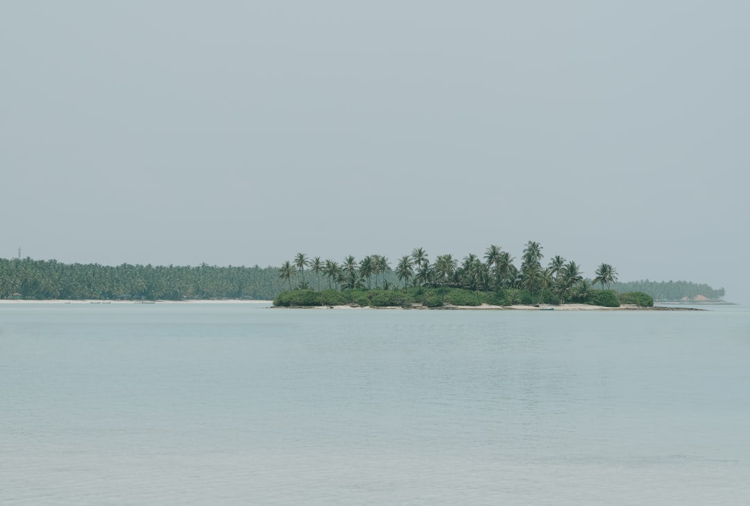 Sarangi