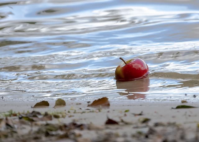 자연과 함께하는 원시적인 삶과 바이오해킹