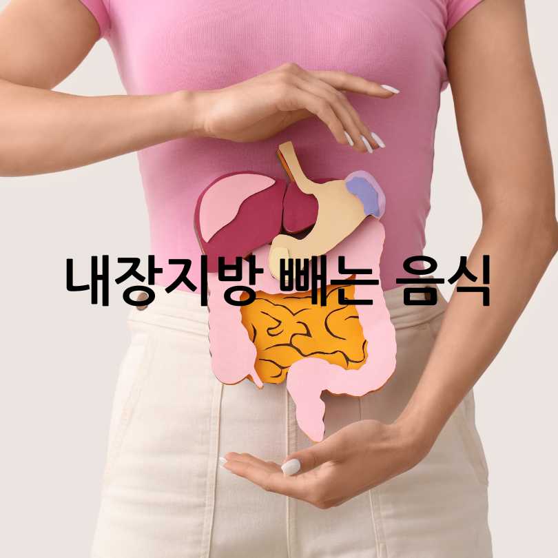 내장지방빼는음식
