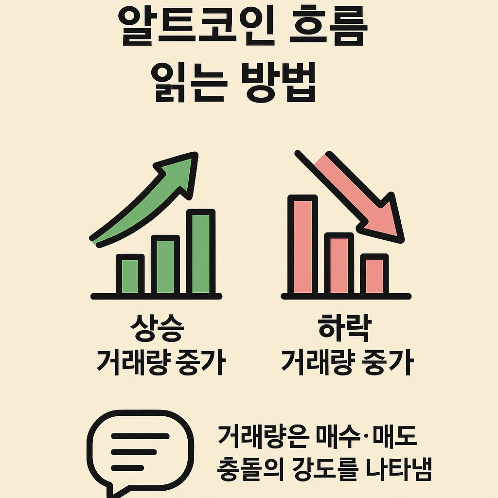 알트코인 흐름 읽는 방법