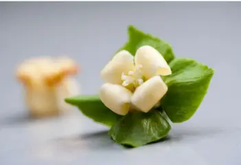 태추단감 가격&amp;#44; 효능과 영양성분