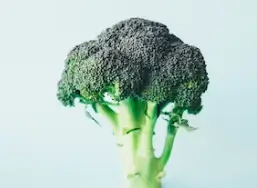 한살림 인터넷장보기