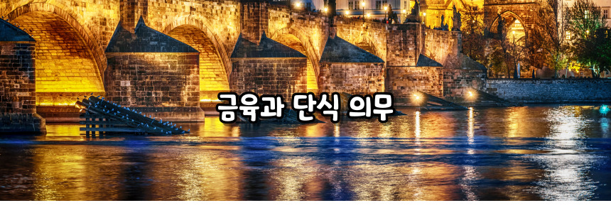 천주교 6대 의무
