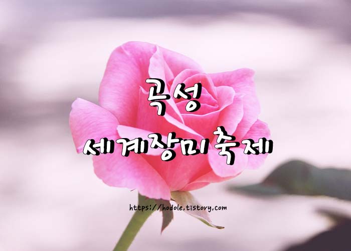 곡성 세계장미축제