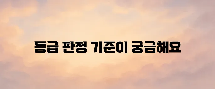 장기요양보험공단 홈페이지 및 등급 판정 기준