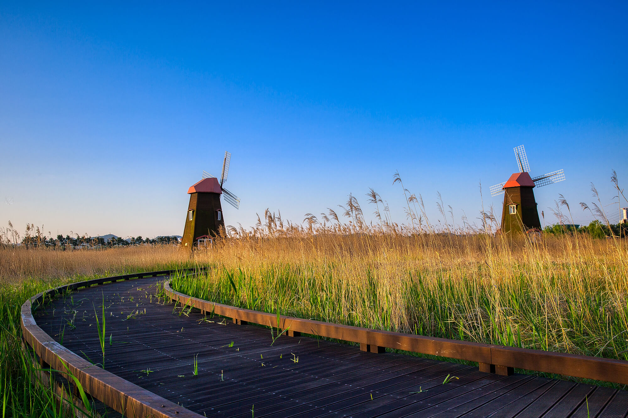 소래습지생태공원 풍경2