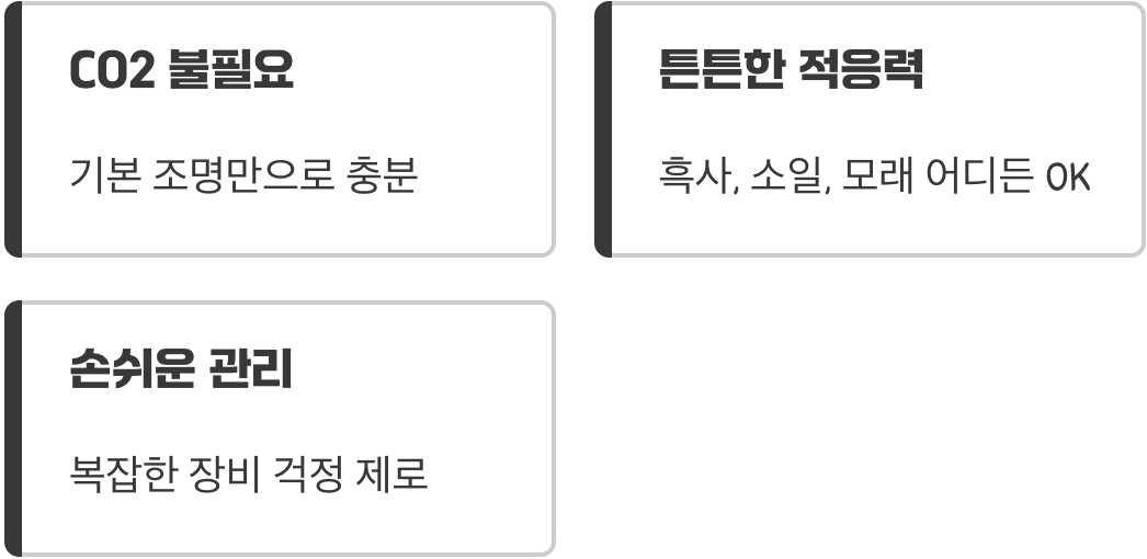 까다롭지 않은 환경&amp;#44; 이산화탄소도 조명도 OK