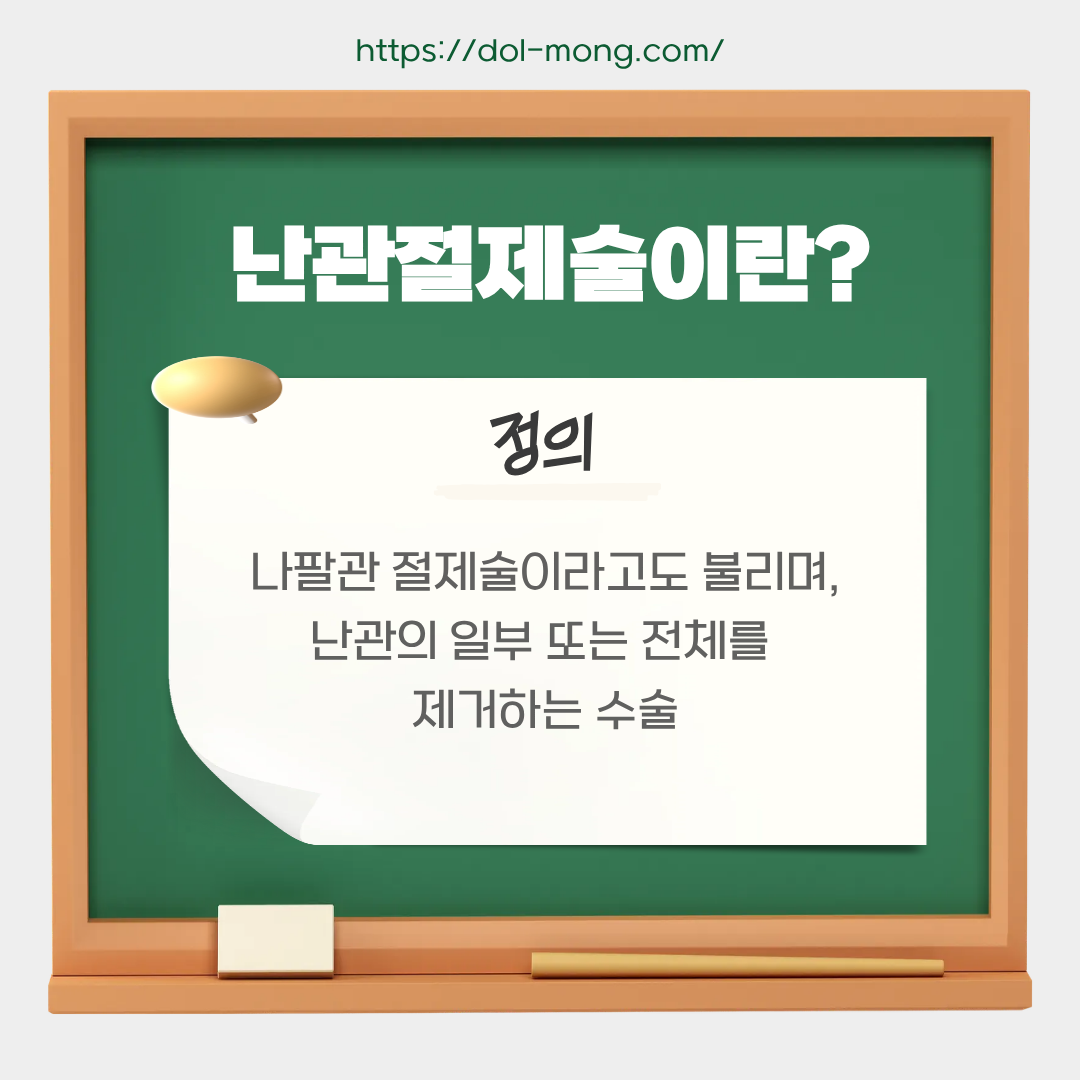 난관절제술이란 - 나팔관 절제술이라고도 불리며, 난관의 일부 또는 전체를 제거하는 수술