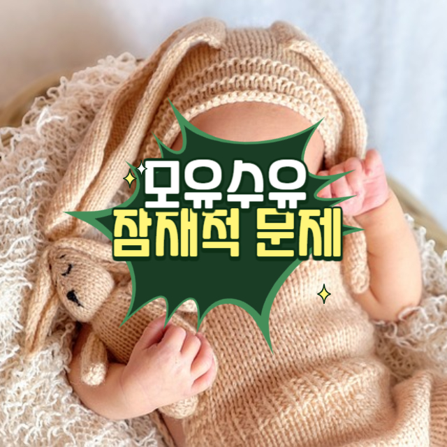 모유수유 잠재적 문제