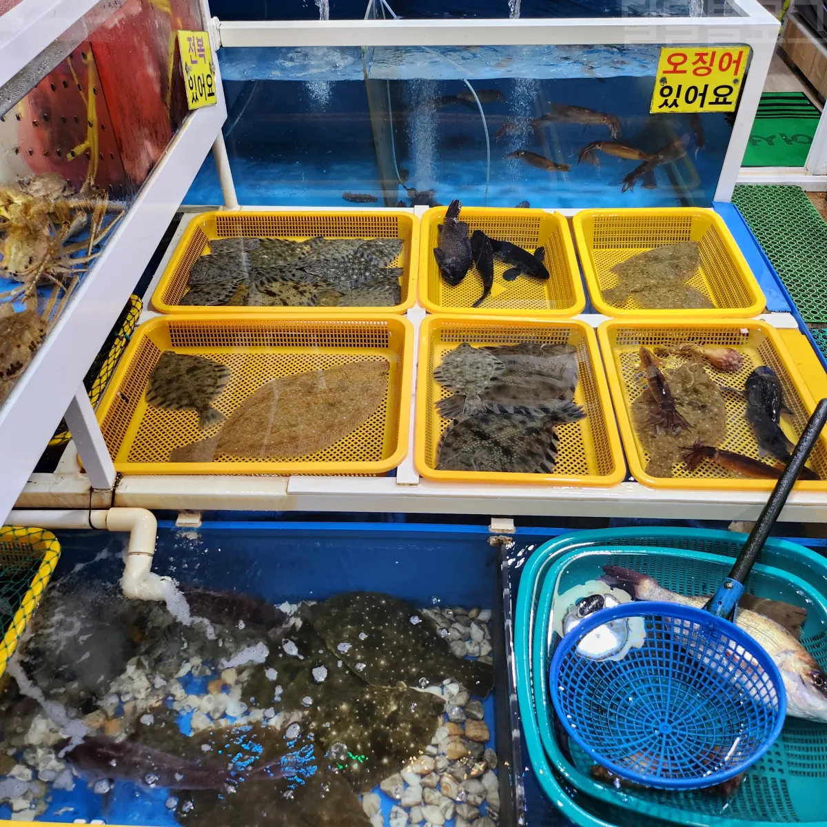 강원도-대포항