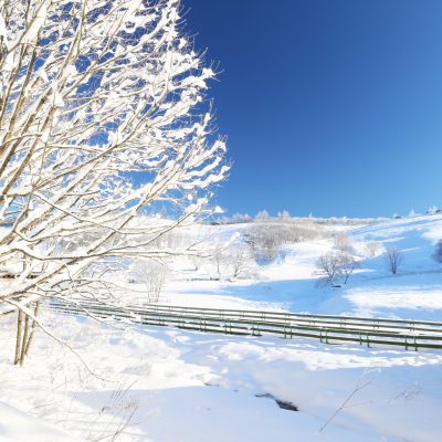 강원도 겨울 트레킹 추천 BEST 5 : 설경 걷기 좋은 길