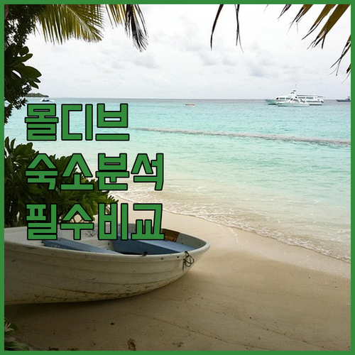 몰디브 숙소 추천 가성비 마푸시 호텔..