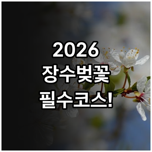 2026 장수 벚꽃 축제 일정 및 주..