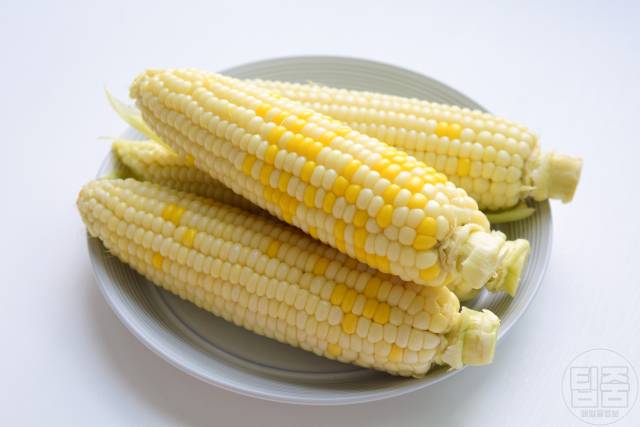 맛있는 옥수수 고르는법