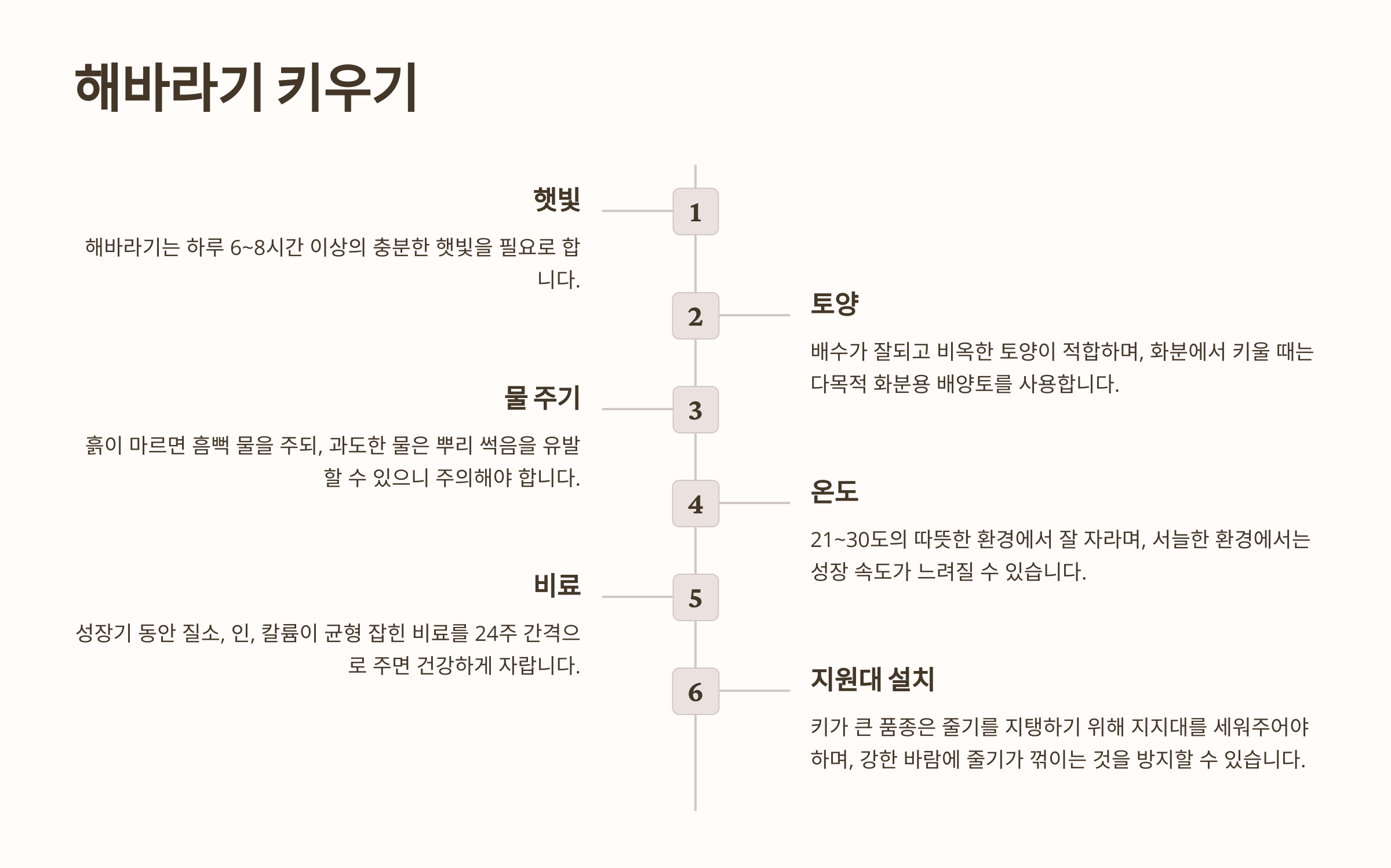 해바라기 사진입니다.