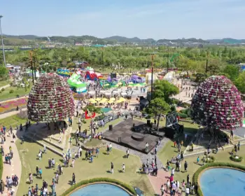 함평 나비축제_2