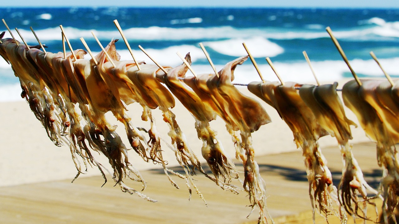 딱딱한 오징어 부드럽게 만드는 방법 꿀팁