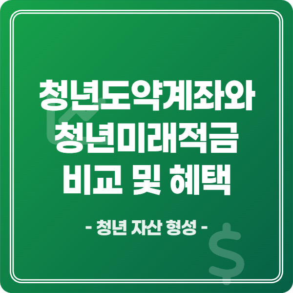 청년도약계좌와 청년미래적금 비교 및 혜택, 청년 자산 형성 이미지