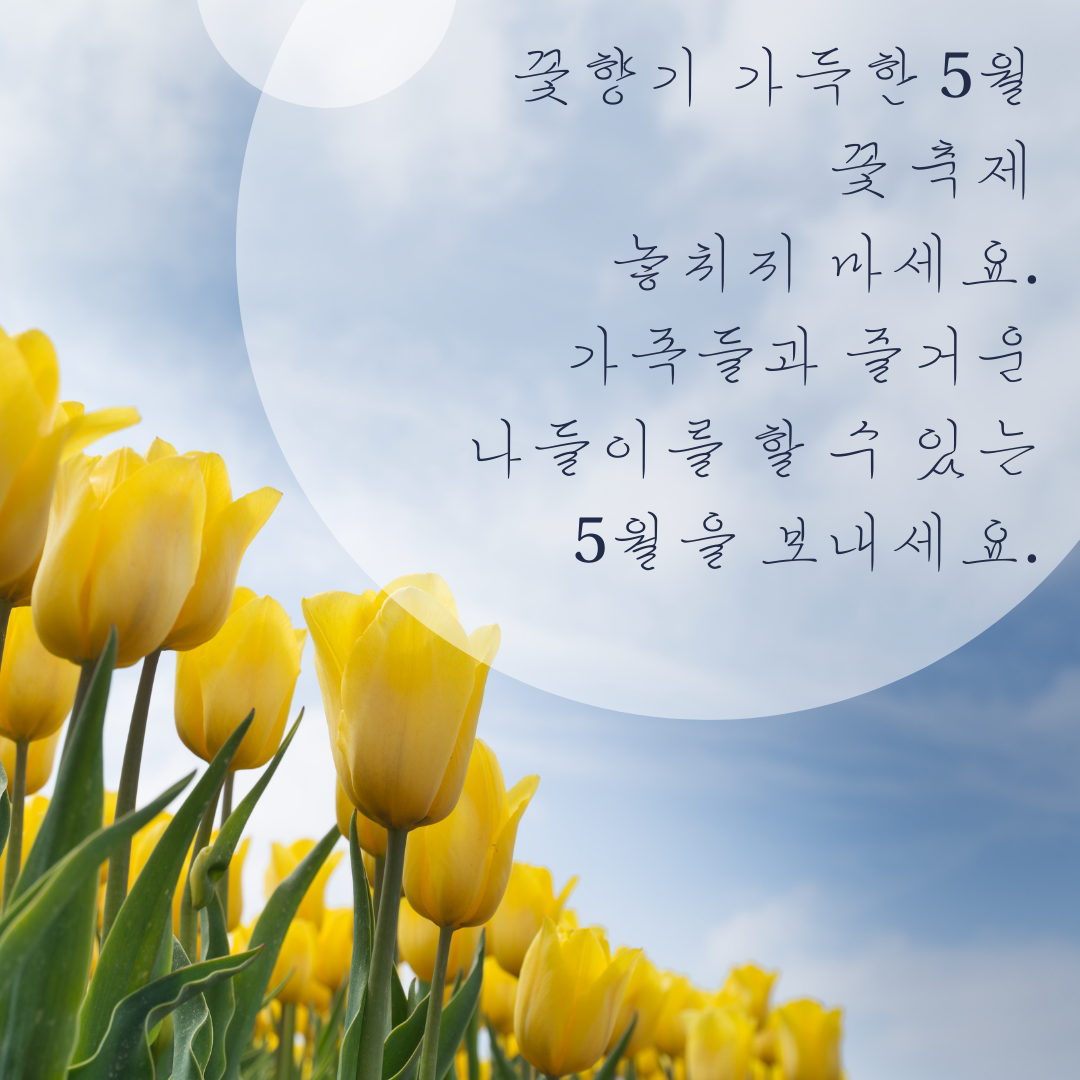 5월 인사말 문구 모음집 이미지