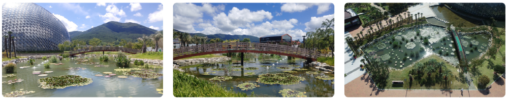 거제 식물원 생태수생정원