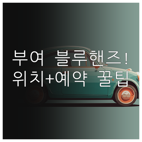 부여 현대자동차 블루핸즈 위치 예약 ..