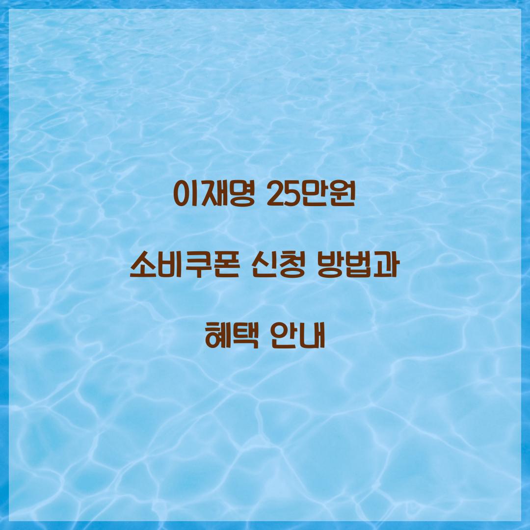 이재명 25만원 소비쿠폰