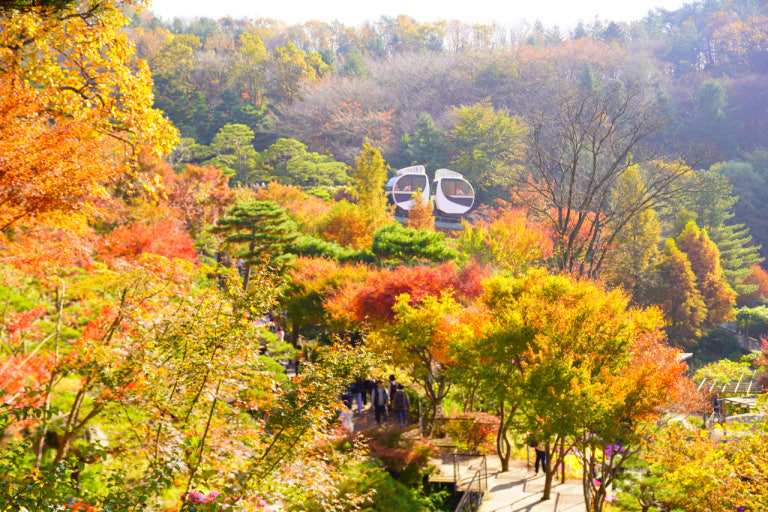 경기 광주 트래킹코스