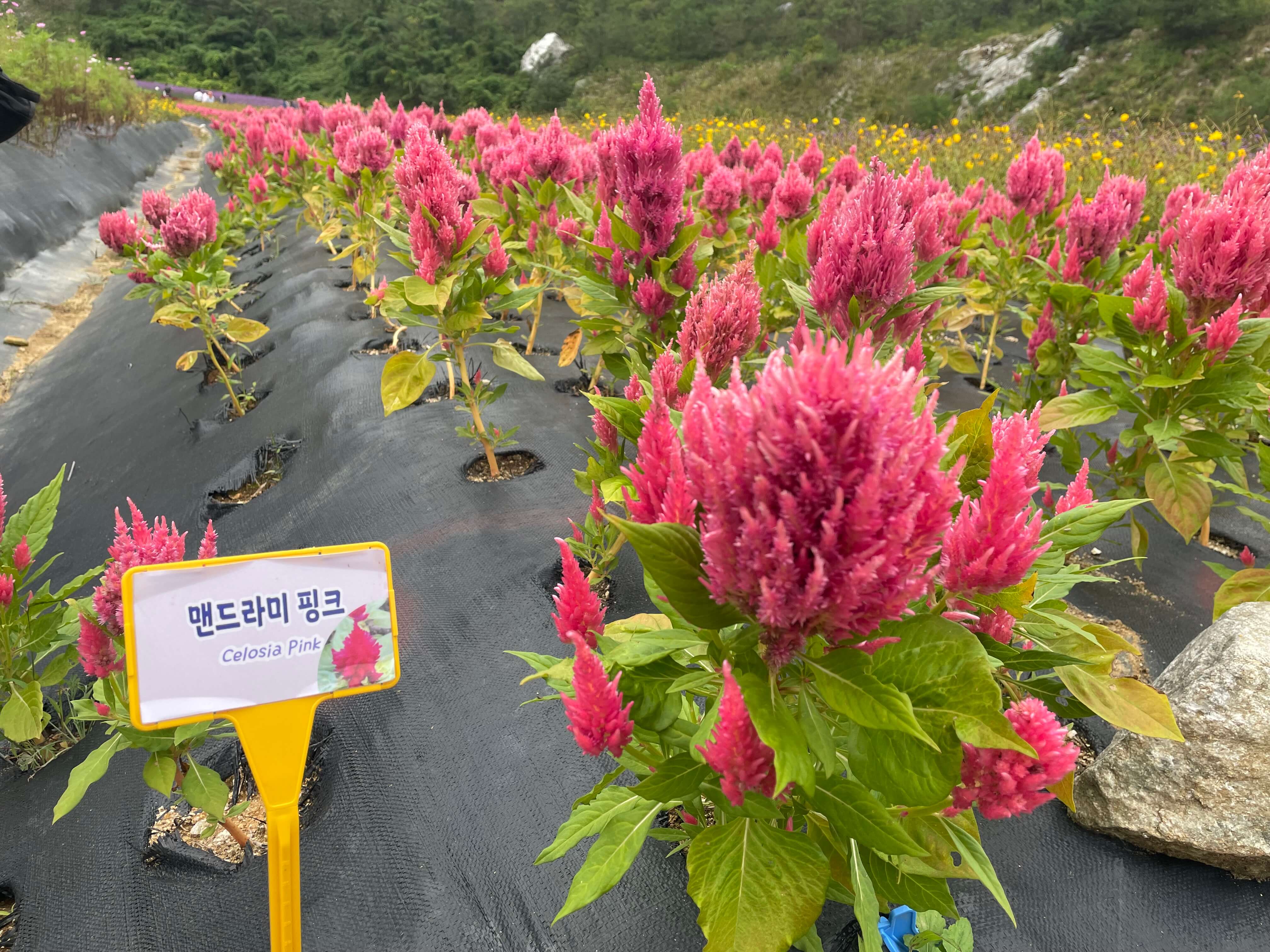 동해 가볼만한 곳 베스트10