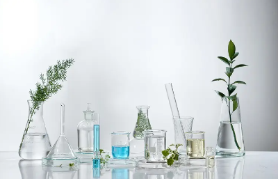 여러가지 영양소