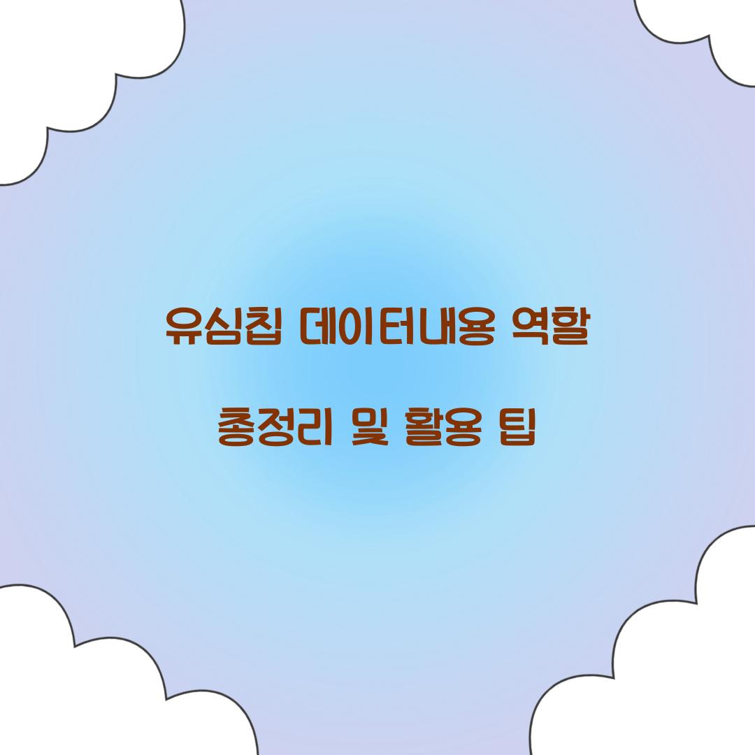 유심칩 데이터내용 역할